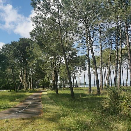 Appartements Au Coeur Du Golf, Proche Du Lac Et Velodyssee Biscarrosse Buitenkant foto
