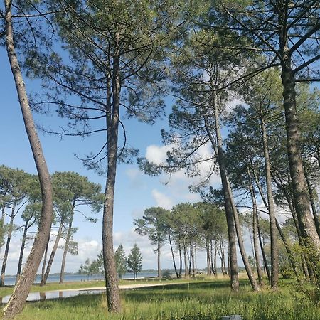 Appartements Au Coeur Du Golf, Proche Du Lac Et Velodyssee Biscarrosse Buitenkant foto