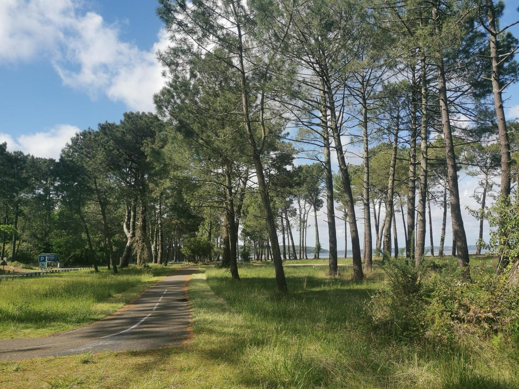 Appartements Au Coeur Du Golf, Proche Du Lac Et Velodyssee Biscarrosse Buitenkant foto